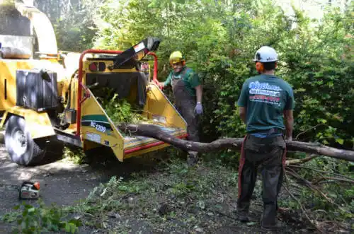 tree services New Brockton